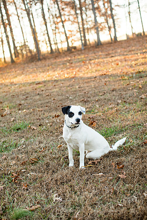 sara-kauss-photography-3401