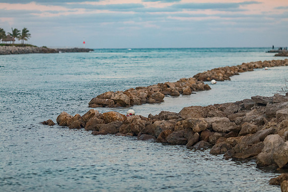 sara-kauss-photography-9941-2