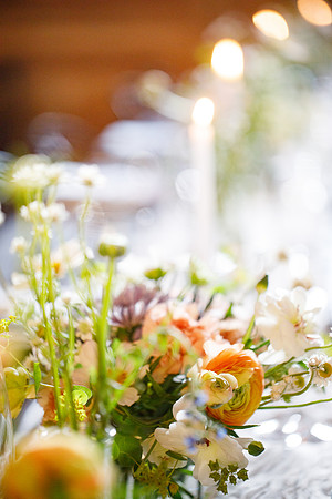 sara_kauss_photography_2432