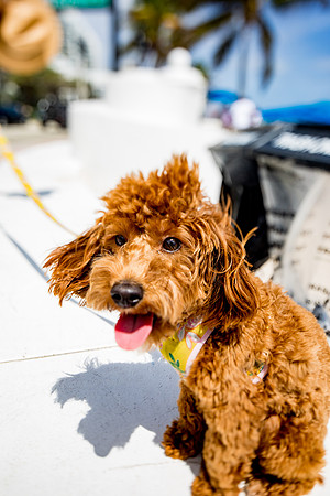 sara-kauss-photography-5039