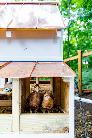 sara_kauss_photography_0087