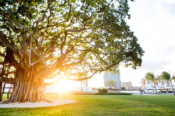 sara-kauss-photography-6564