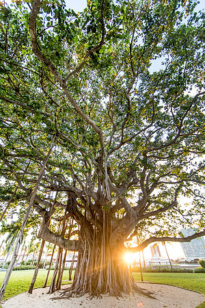 sara-kauss-photography-0518-2