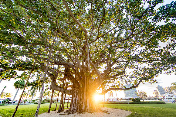 sara-kauss-photography-0520