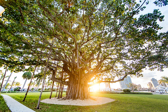 sara-kauss-photography-0522