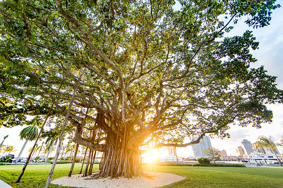 sara-kauss-photography-0525