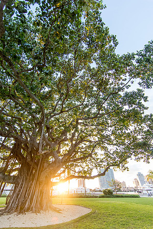 sara-kauss-photography-0526