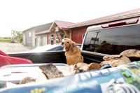 sara_kauss_photography_3788