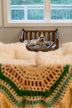 sara-kauss-photography-8075