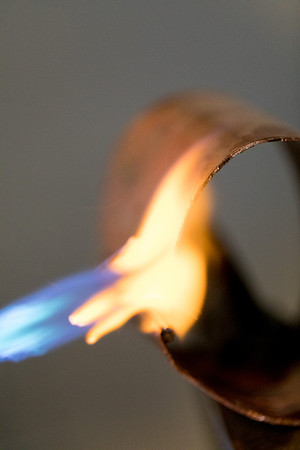 sara-kauss-photography-7865