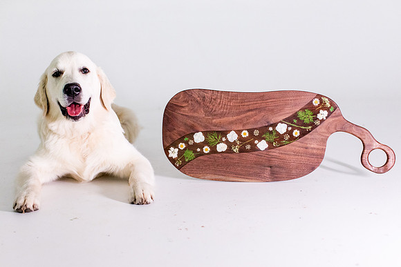 sara-kauss-photography-1501