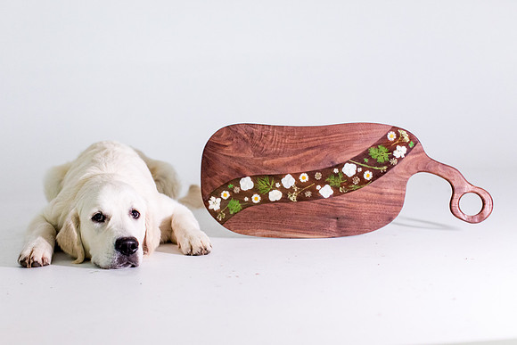 sara-kauss-photography-1484