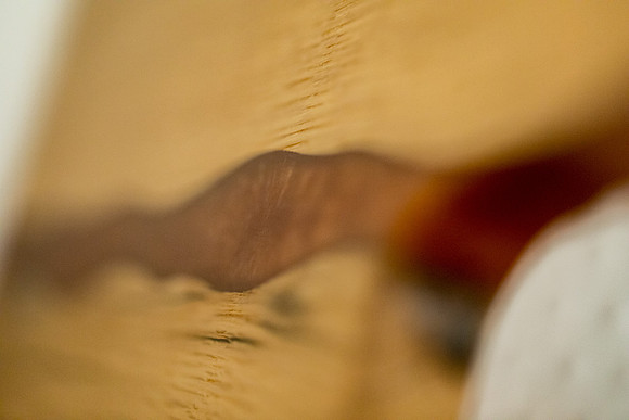 sara-kauss-photography-9769