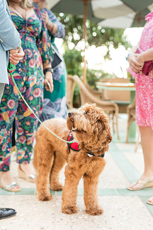 south florida four seasons palm beach event © sara kauss photography 20211211165933-1