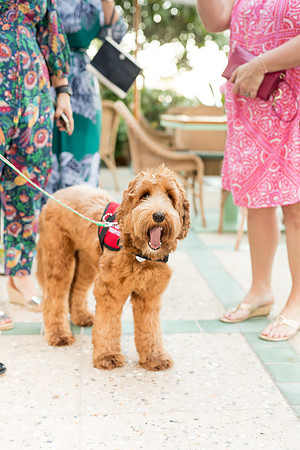 south florida four seasons palm beach event © sara kauss photography 20211211165934-1