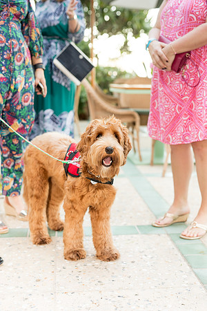 south florida four seasons palm beach event © sara kauss photography 20211211165937-1