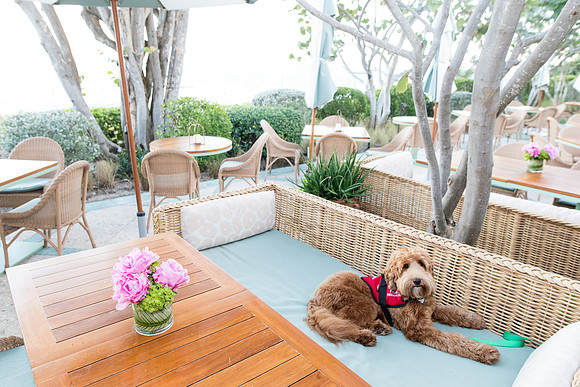 south florida four seasons palm beach event © sara kauss photography 20211211170537-1