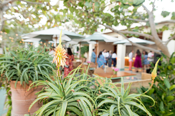 south florida four seasons palm beach event © sara kauss photography 20211211172417-1