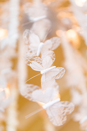 sara-kauss-photography-1429