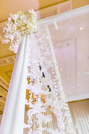 sara-kauss-photography-8822