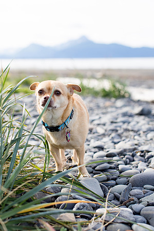 sara_kauss_photography_1718