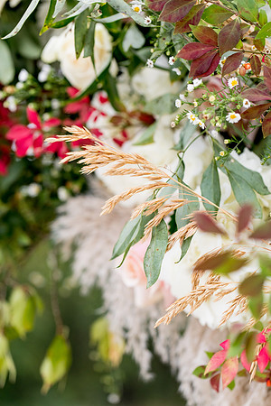 sara-kauss-photography-4076