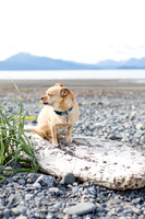 sara_kauss_photography_1725