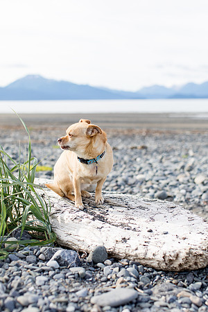 sara_kauss_photography_1725