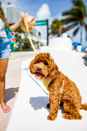 sara-kauss-photography-5041