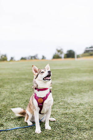 sara_kauss_photography_4418