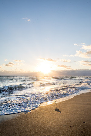 sara-kauss-photography-0281