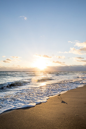 sara-kauss-photography-0282