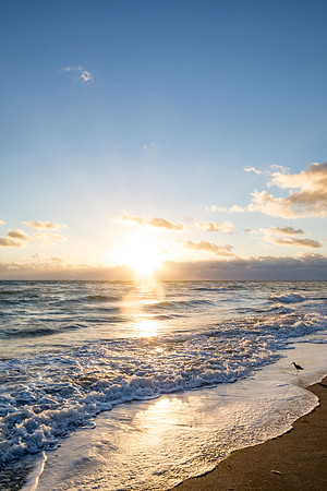 sara-kauss-photography-0283