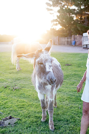 sara-kauss-photography-9283