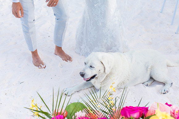 sara_kauss_photography_3524