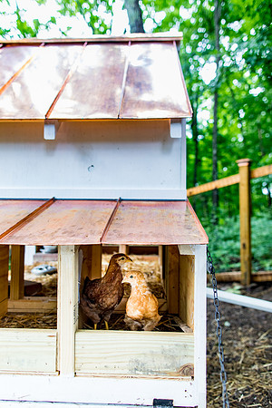 sara_kauss_photography_0092