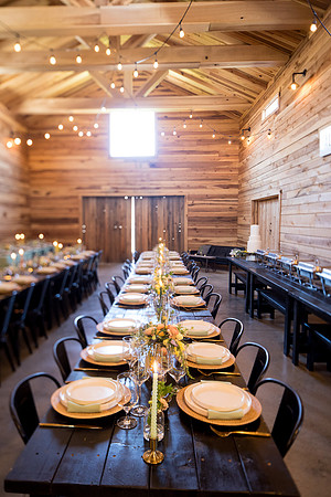 sara_kauss_photography_7141