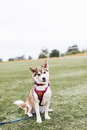 sara_kauss_photography_4420