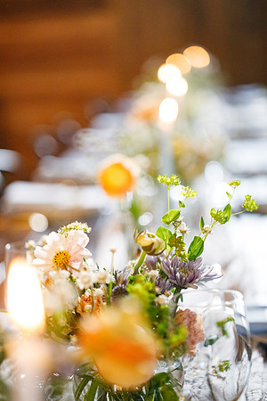 sara_kauss_photography_2425