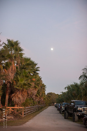 0379-sara-kauss-photography-3767