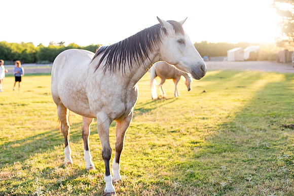 sara-kauss-photography-9210