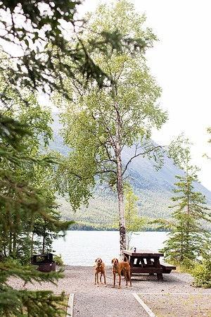 sara_kauss_photography_4331