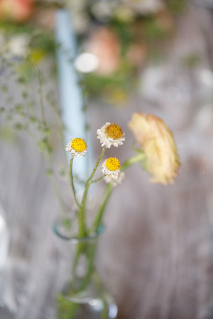 sara_kauss_photography_2707