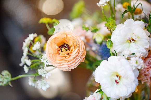 sara_kauss_photography_2391