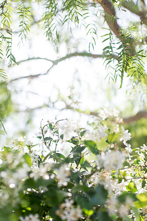 sara-kauss-photography-9619