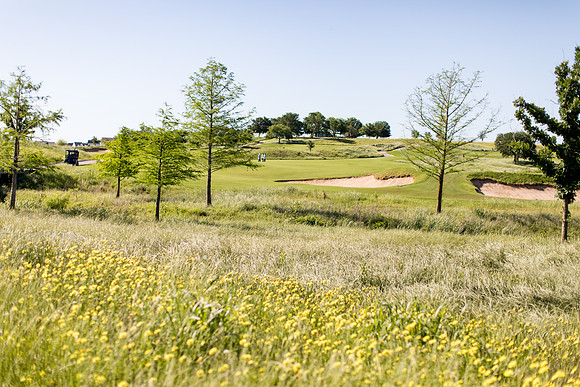 sara_kauss_photography_8281_golf