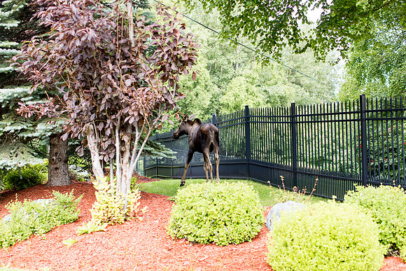 sara_kauss_photography_4435