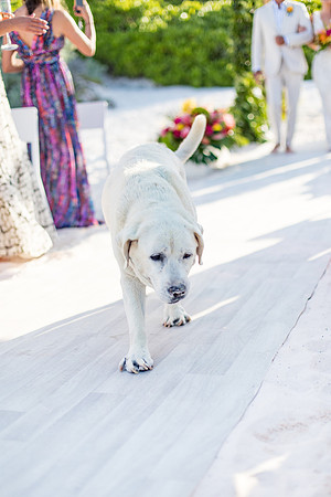 sara_kauss_photography_2889