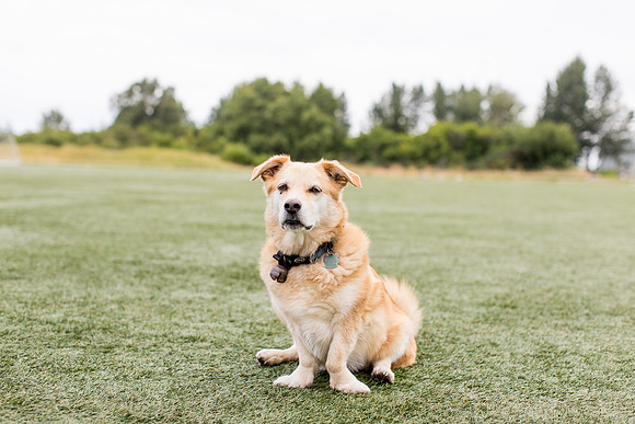 sara_kauss_photography_4429