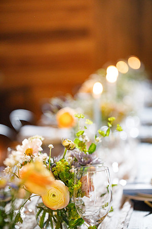 sara_kauss_photography_2427